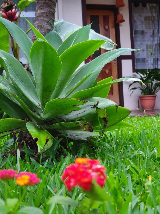 Turrialba Bed & Breakfast Екстер'єр фото