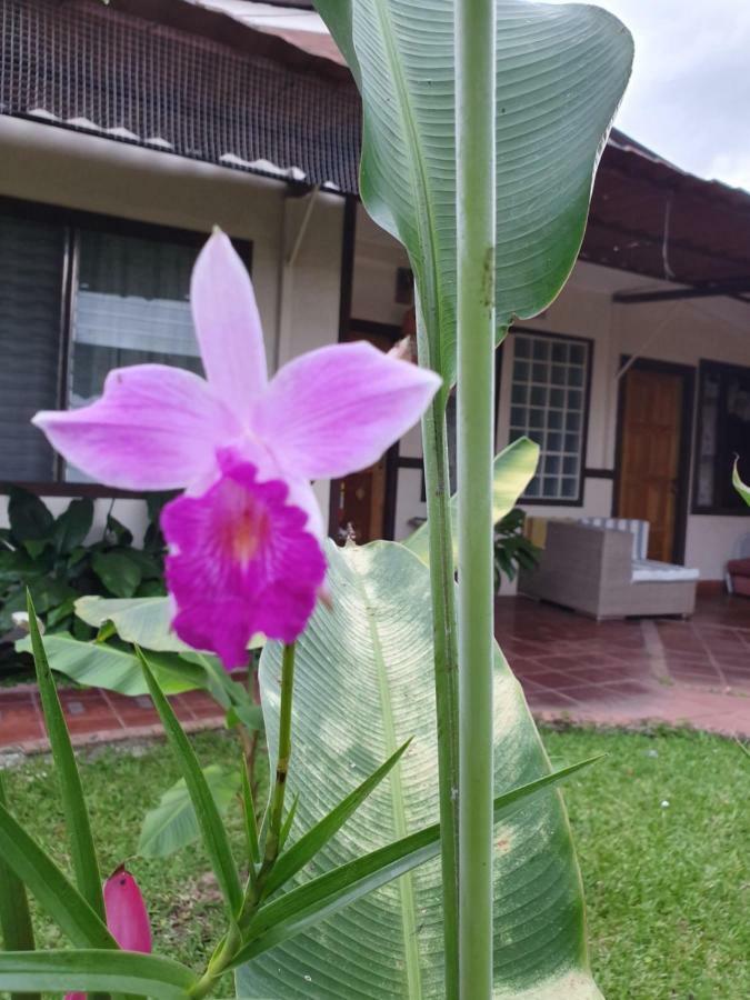 Turrialba Bed & Breakfast Екстер'єр фото