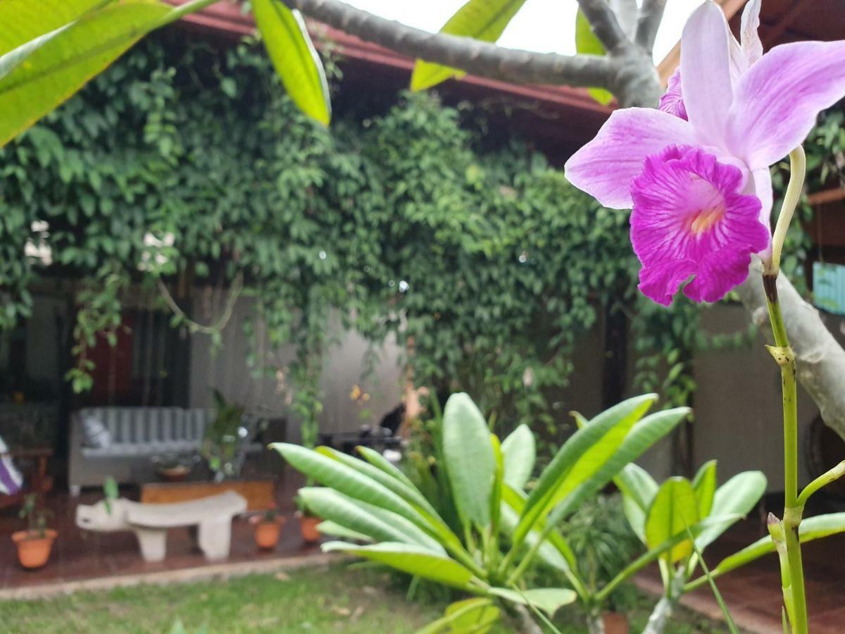 Turrialba Bed & Breakfast Екстер'єр фото