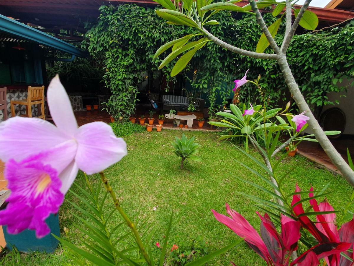 Turrialba Bed & Breakfast Екстер'єр фото